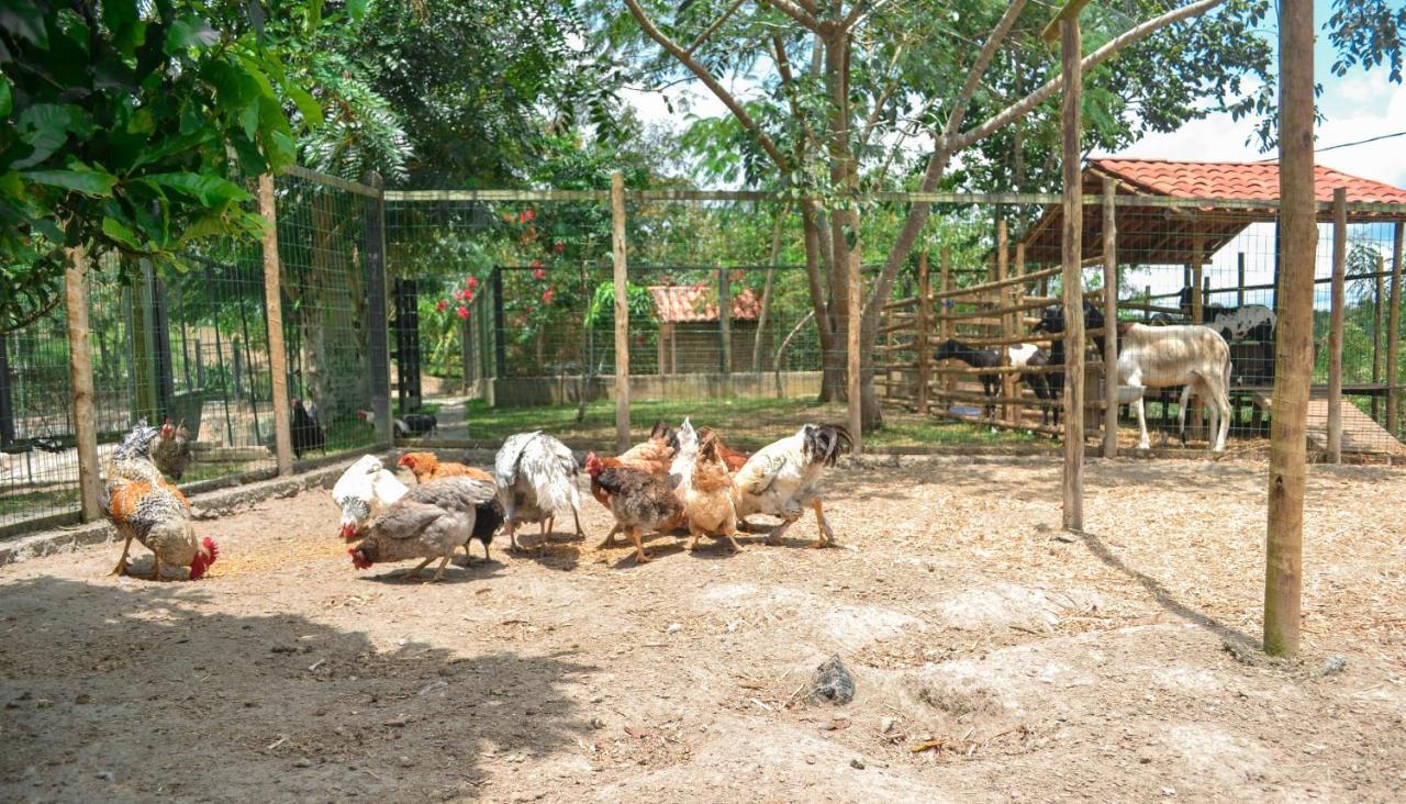 Chacara Maluco Beleza 2 Villa Gravata  Ngoại thất bức ảnh